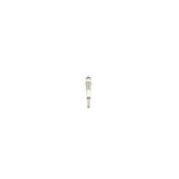 BOSCH 0 250 202 097 Glühkerze