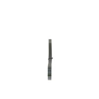 BOSCH 1 987 946 010 Keilrippenriemen