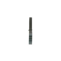 BOSCH 1 987 946 034 Keilrippenriemen