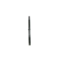 BOSCH 1 987 946 116 Keilrippenriemen