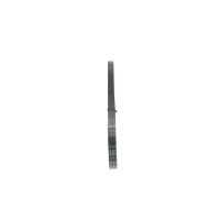 BOSCH 1 987 946 116 Keilrippenriemen