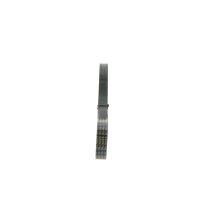 BOSCH 1 987 946 135 Keilrippenriemen