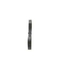 BOSCH 1 987 946 135 Keilrippenriemen