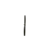 BOSCH 1 987 947 884 Keilrippenriemen