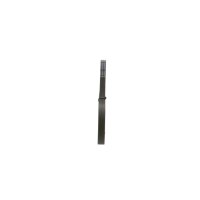 BOSCH 1 987 947 962 Keilrippenriemen