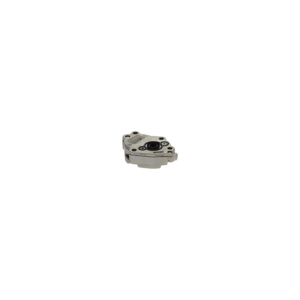 BOSCH 0 440 020 065 Kraftstoffpumpe