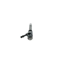 BOSCH 0 445 110 250 Einspritzdüse
