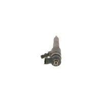 BOSCH 0 445 110 252 Einspritzdüse