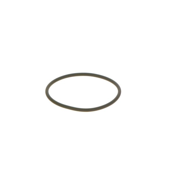 BOSCH F 00N 201 306 Dichtring