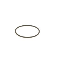 BOSCH F 00N 201 306 Dichtring