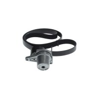 BOSCH 1 987 600 713 Keilrippenriemensatz