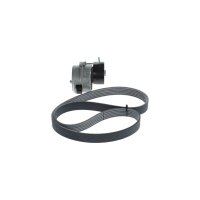 BOSCH 1 987 600 727 Keilrippenriemensatz
