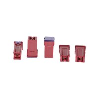 BOSCH 1 987 529 060 Sicherung