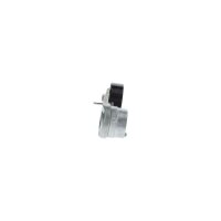 BOSCH 1 987 600 309 Riemenspanner, Keilrippenriemen