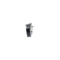 BOSCH 1 987 600 309 Riemenspanner, Keilrippenriemen