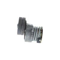 BOSCH 1 987 600 319 Riemenspanner, Keilrippenriemen