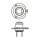 BOSCH 1 987 301 153 Glühlampe, Fernscheinwerfer