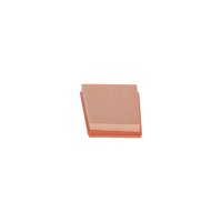BOSCH F 026 400 110 Luftfilter