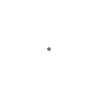 BOSCH 1 423 410 033 Schraube
