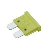 BOSCH 1 904 529 907 Sicherung