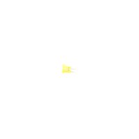 BOSCH 1 904 529 907 Sicherung