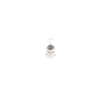 BOSCH 1 987 302 539 Glühlampe