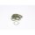 BOSCH F 00R J00 222 Gummiring