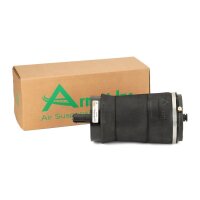 Arnott A-3025 Luftfeder, Fahrwerk