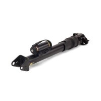 Arnott SK-2867 Stoßdämpfer