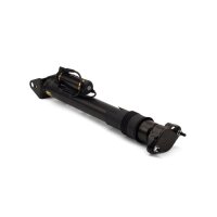 Arnott SK-2867 Stoßdämpfer