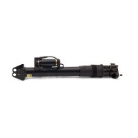 Arnott SK-2867 Stoßdämpfer