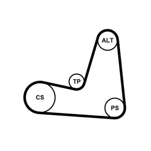 CONTINENTAL CTAM 5PK1135K1 Keilrippenriemensatz