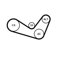 CONTINENTAL CTAM 6PK1050K1 Keilrippenriemensatz