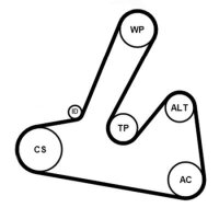 CONTINENTAL CTAM 6PK1250K1 Keilrippenriemensatz