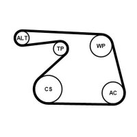 CONTINENTAL CTAM 6PK1325K1 Keilrippenriemensatz