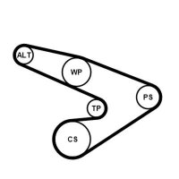 CONTINENTAL CTAM 6PK1800K1 Keilrippenriemensatz