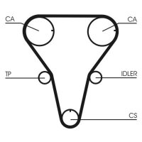 CONTINENTAL CTAM CT1047 Zahnriemen