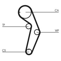 CONTINENTAL CTAM CT1048 Zahnriemen