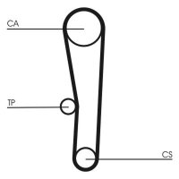 CONTINENTAL CTAM CT1062 Zahnriemen
