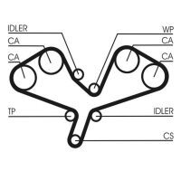 CONTINENTAL CTAM CT1068 Zahnriemen