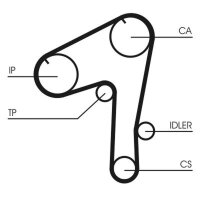 CONTINENTAL CTAM CT1084 Zahnriemen