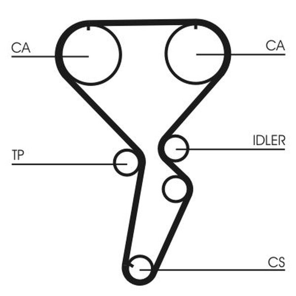 CONTINENTAL CTAM CT1116 Zahnriemen