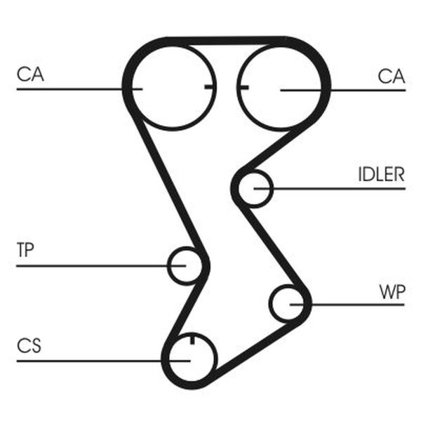 CONTINENTAL CTAM CT1144 Zahnriemen