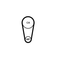 CONTINENTAL CTAM CT1248 Zahnriemen