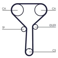 CONTINENTAL CTAM CT1254 Zahnriemen
