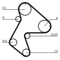 CONTINENTAL CTAM CT711 Zahnriemen