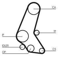 CONTINENTAL CTAM CT748 Zahnriemen