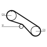 CONTINENTAL CTAM CT818 Zahnriemen