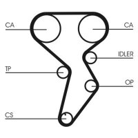 CONTINENTAL CTAM CT879 Zahnriemen