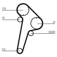 CONTINENTAL CTAM CT891 Zahnriemen